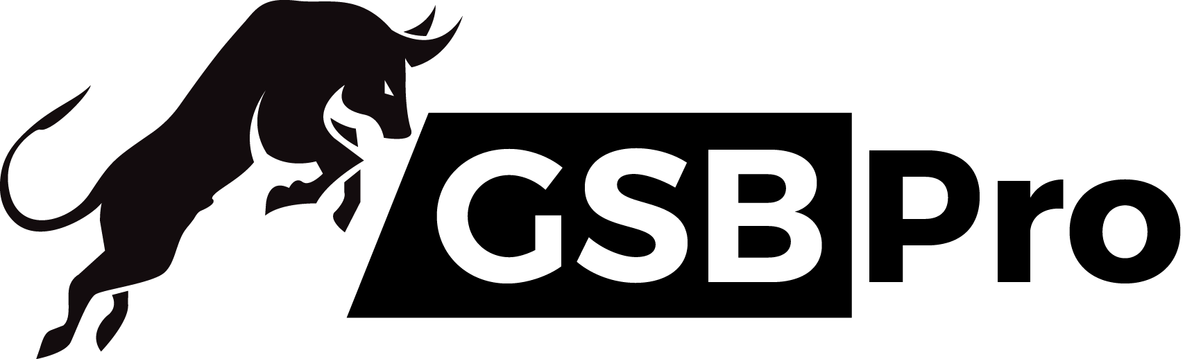 GSB Pro